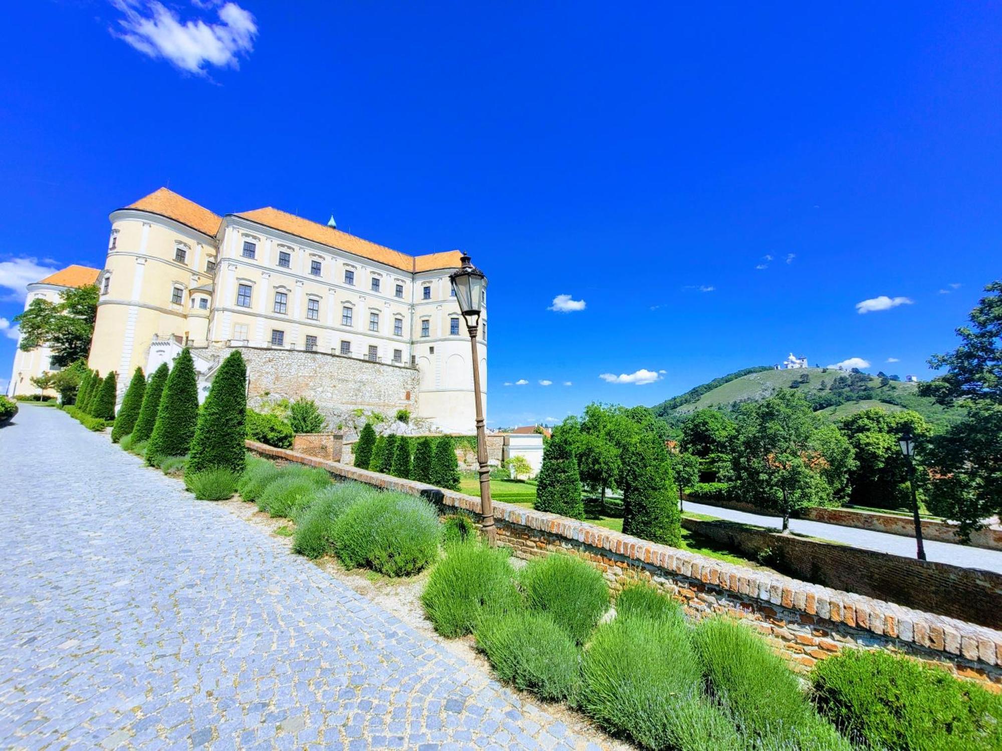 Chateau View *